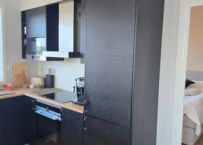 Luxury View With 2 Bedrooms And A Balcony Oslo