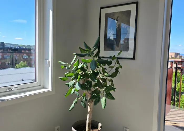 Lejlighed Luxury View With 2 Bedrooms And A Balcony Oslo