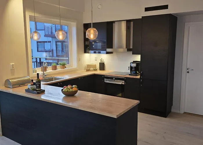 Luxury View With 2 Bedrooms And A Balcony Oslo