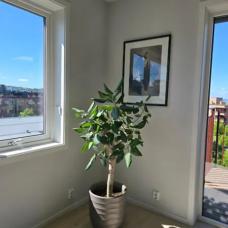 Lejlighed Luxury View With 2 Bedrooms And A Balcony Oslo